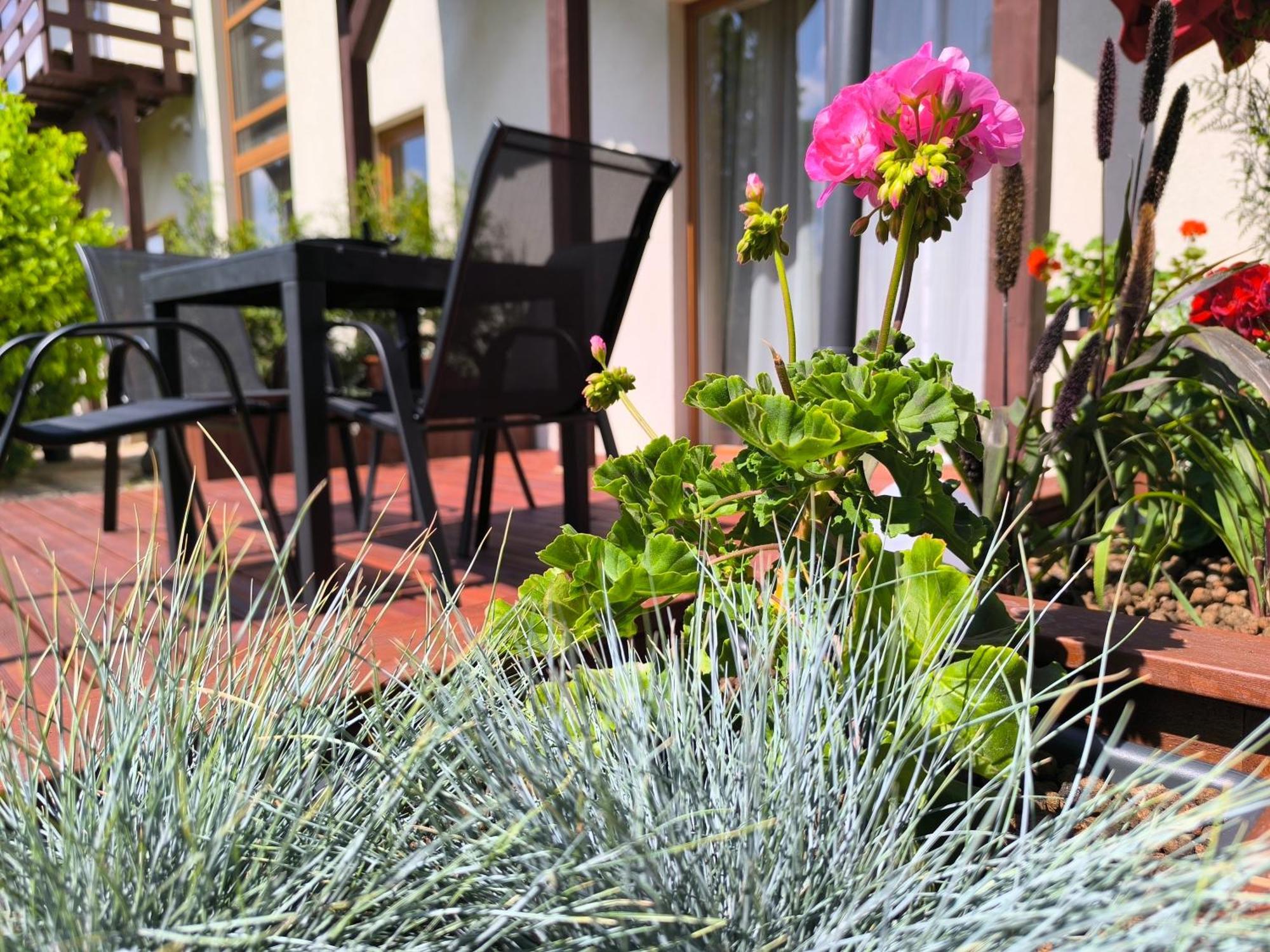 Flip-Flops Apartment Jurmala With Free Parking Jūrkalne Exterior foto