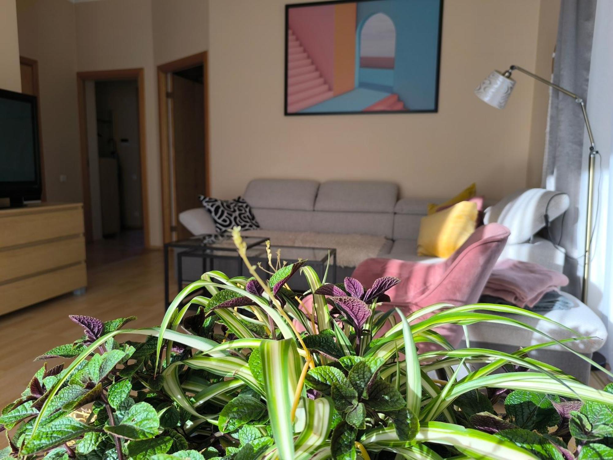 Flip-Flops Apartment Jurmala With Free Parking Jūrkalne Exterior foto