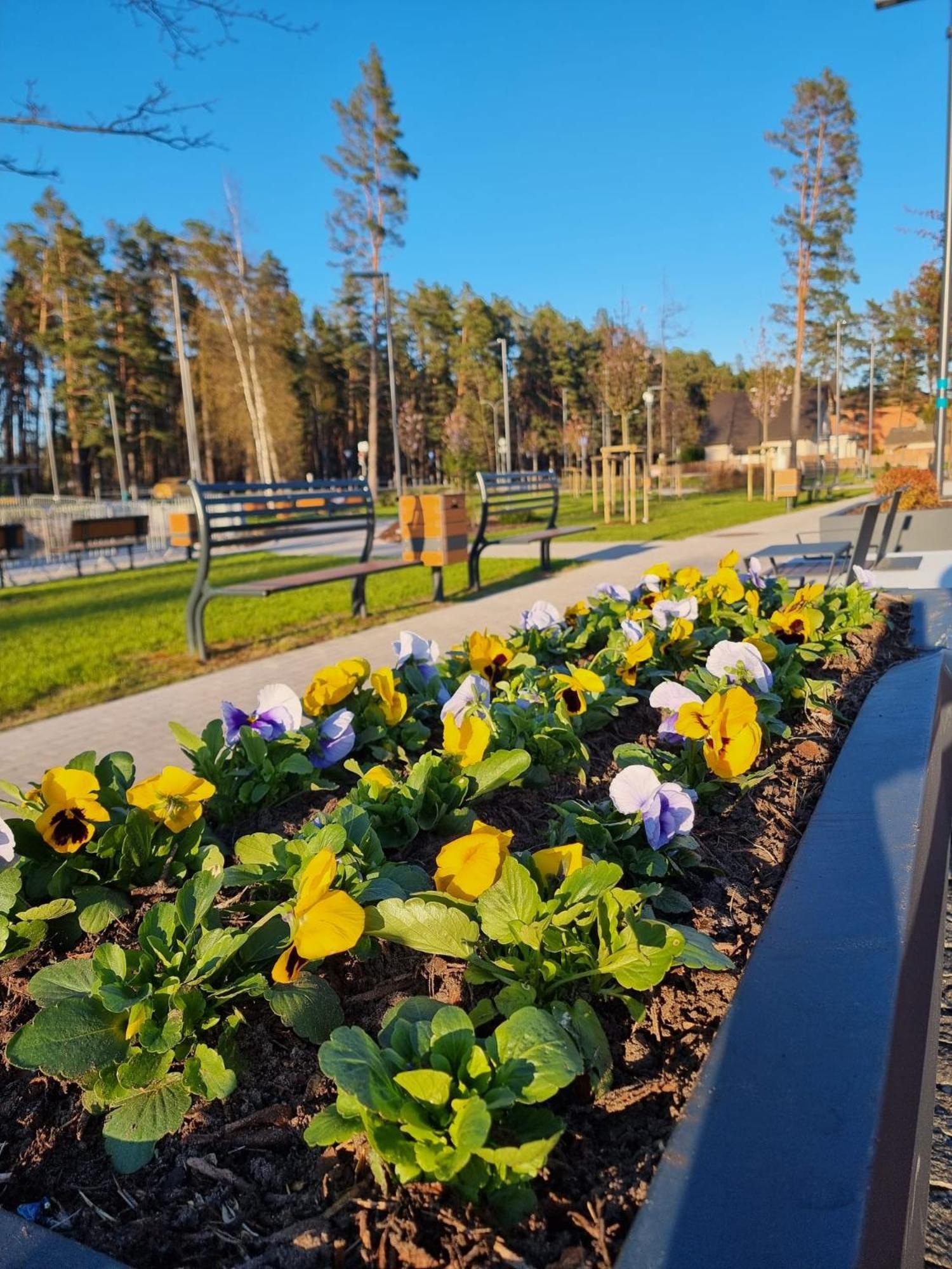 Flip-Flops Apartment Jurmala With Free Parking Jūrkalne Exterior foto
